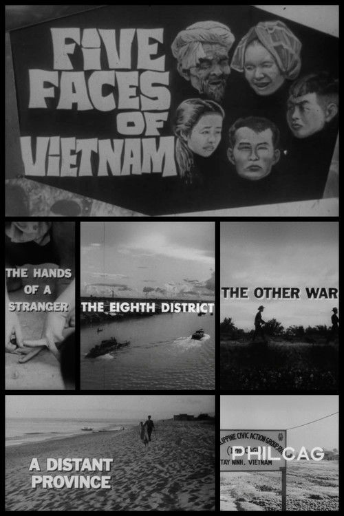 Five Faces of Vietnam poster