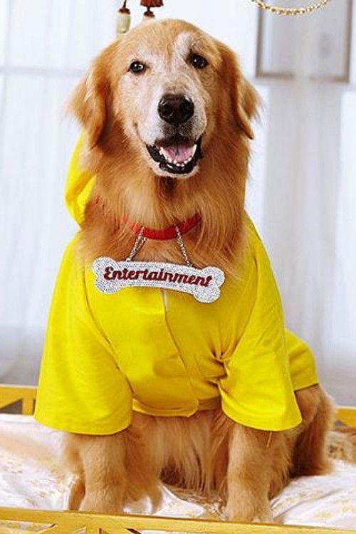 Junior as Entertainment