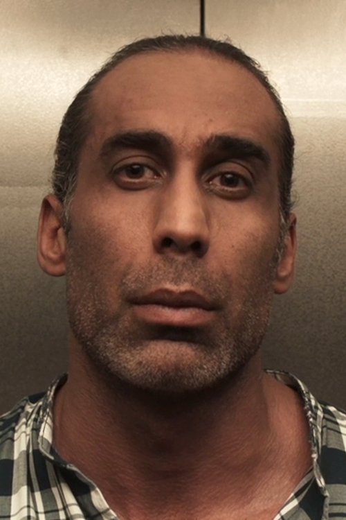 Amir Hessam Bakhtiari as Hessam