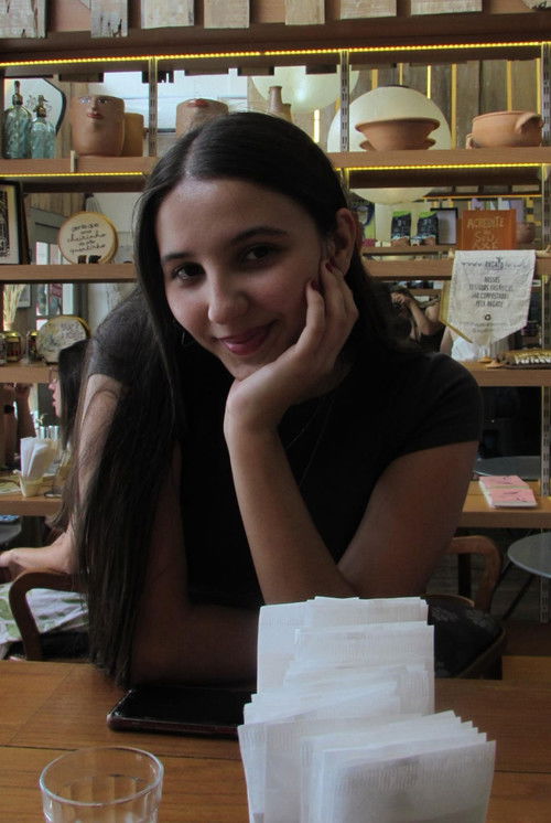 Beatriz Ferreira as Reporter/Stranger