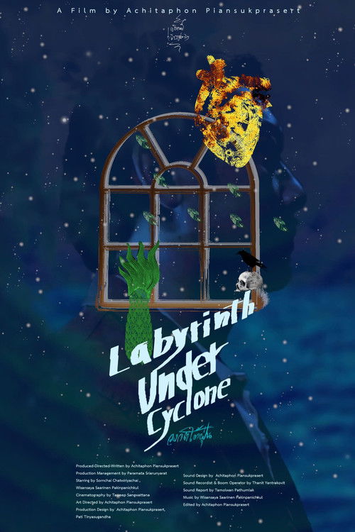 Labyrinth Under Cyclone