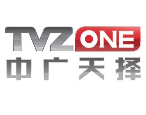 TVZone Media logo