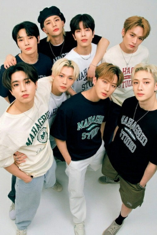 Stray Kids as 