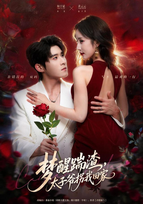 梦醒踹渣，太子爷拐我回家