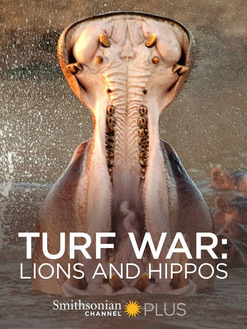 Turf War: Lions and Hippos