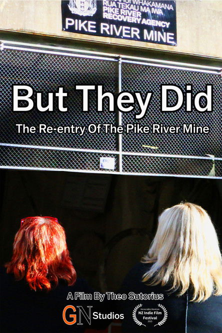 But They Did: The Re-entry Of The Pike River Mine poster