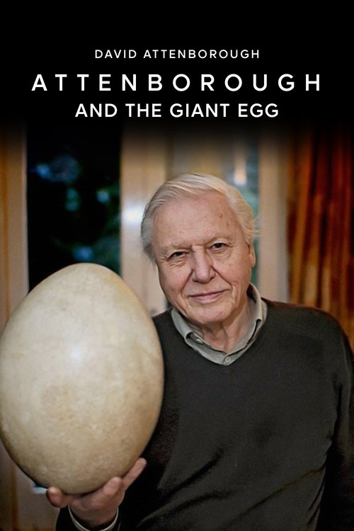 Attenborough and the Giant Egg poster