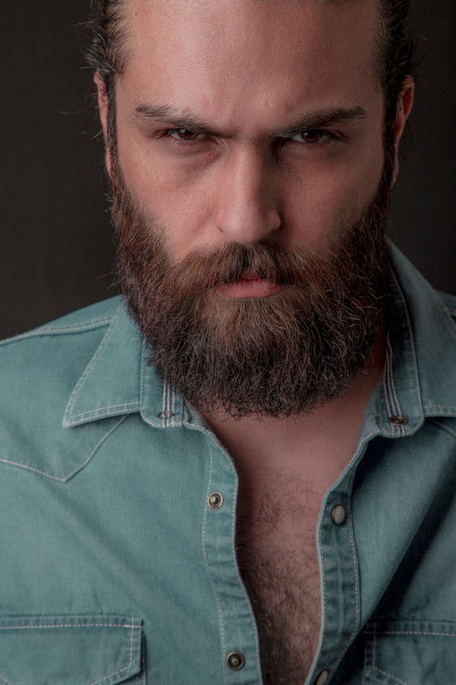 Shervin Hosseini as Arash Kafi (The Husband)