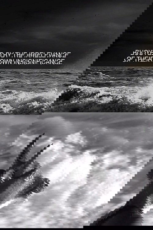 Buoyed by the Irrelevance of Their Own Insignificance poster