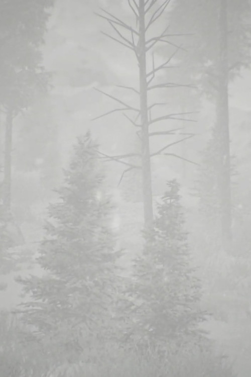 Open Heart Warrior poster