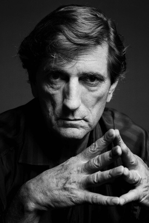 Harry Dean Stanton as Brett