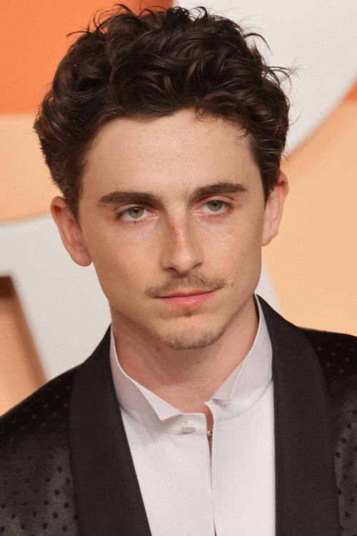 Timothée Chalamet as Laurie