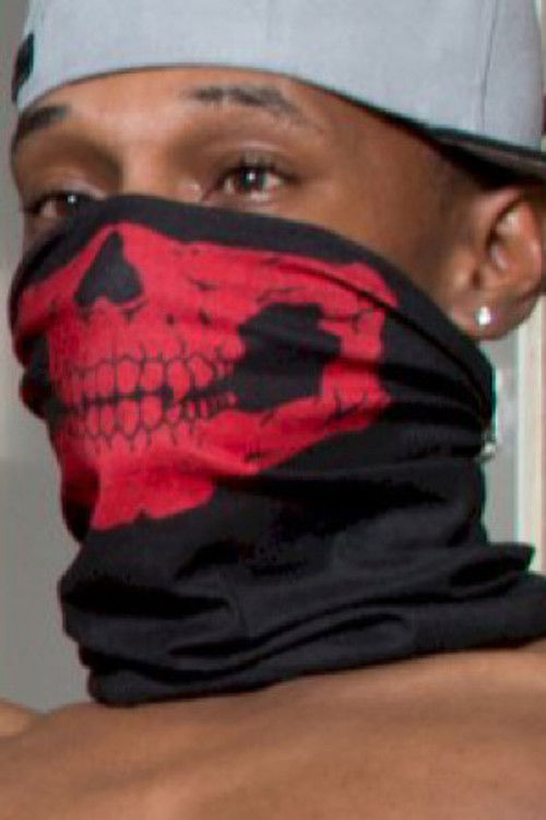 Long Stroke Dingo as