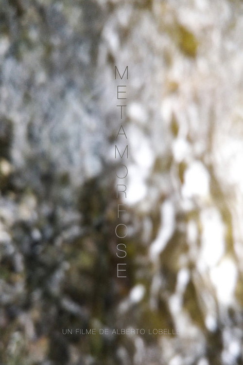 Metamorphosis poster