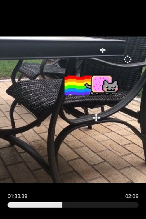 Nyan Cat as Nyan Cat