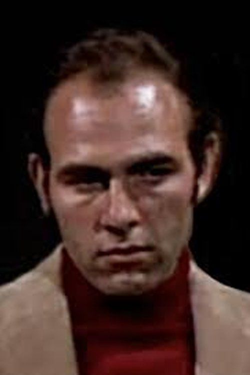 Gene Borkan as Hotel security guard