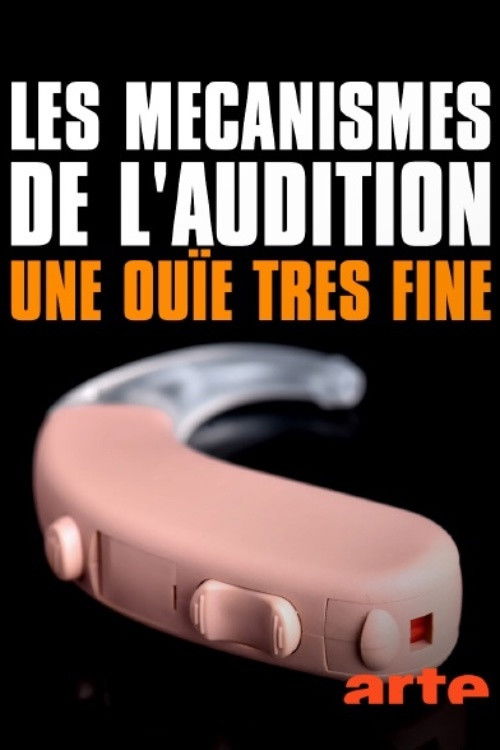 Les mécanismes de l’audition - Une ouïe très fine poster
