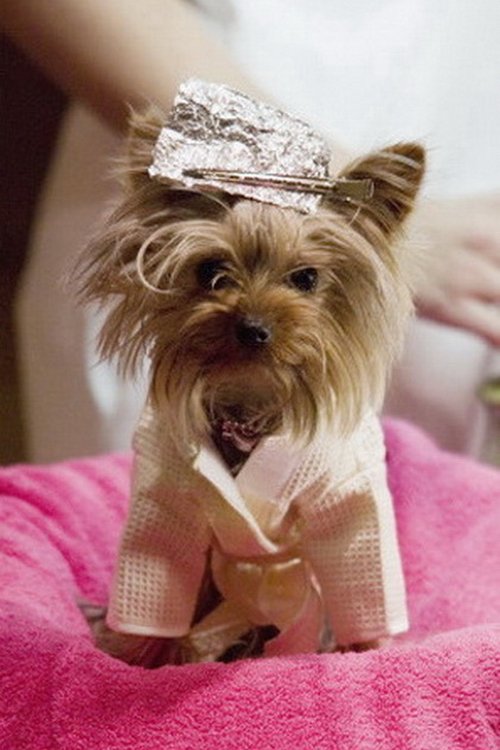 Manly "Little Pickles" Ortega as Boi Evans