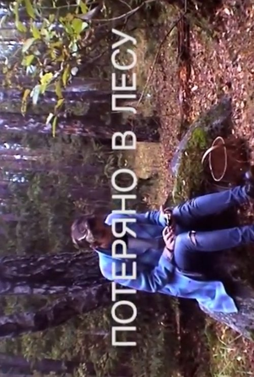 Lost in the Woods poster