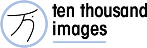Ten Thousand Images logo