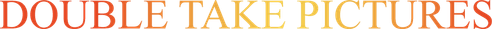 Double Take Pictures logo