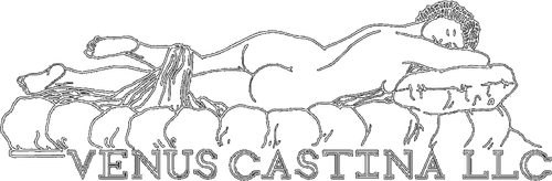 Venus Castina Productions logo