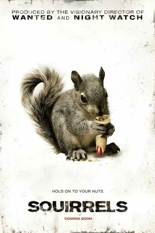 Squirrels poster