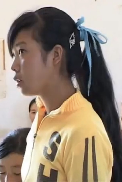 Village Middle School poster