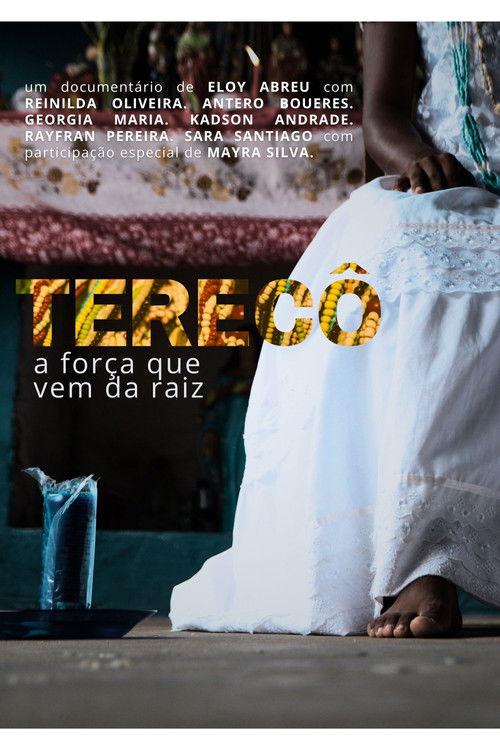 Terecô: a força que vem da raiz poster
