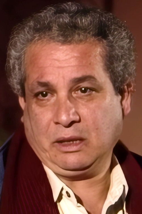 Giorgos Sabanis as Haris Mitropoulos (Commander)