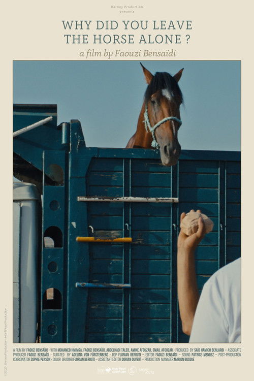 Why Did You Leave the Horse Alone?