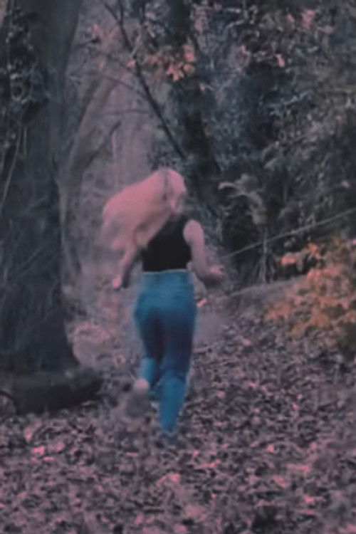 Lily Pearce profile photo