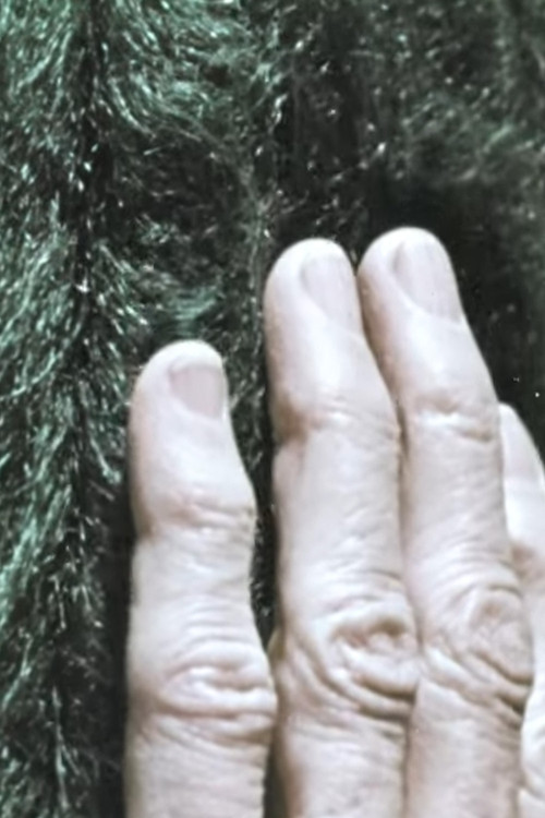 Discovering Texture poster