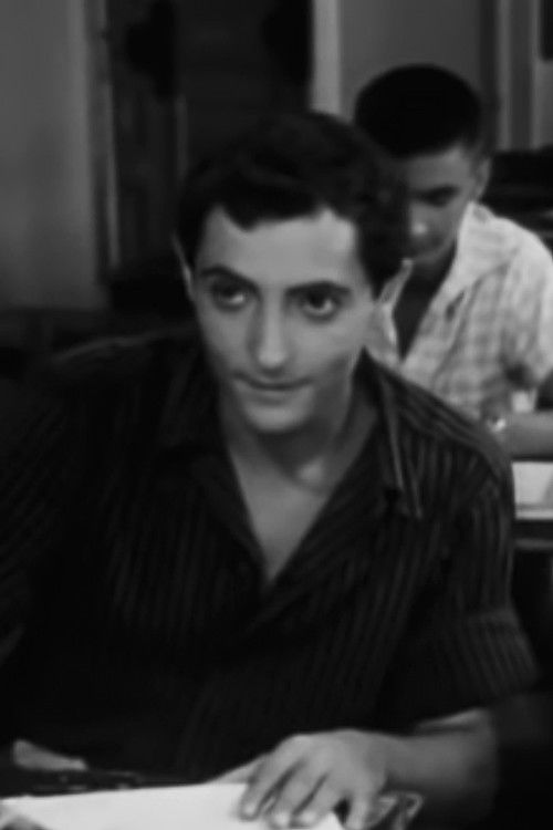 Thodoros Triandafyllidis as Babis Papadopoulos