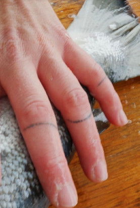 This Is a Story about Salmon