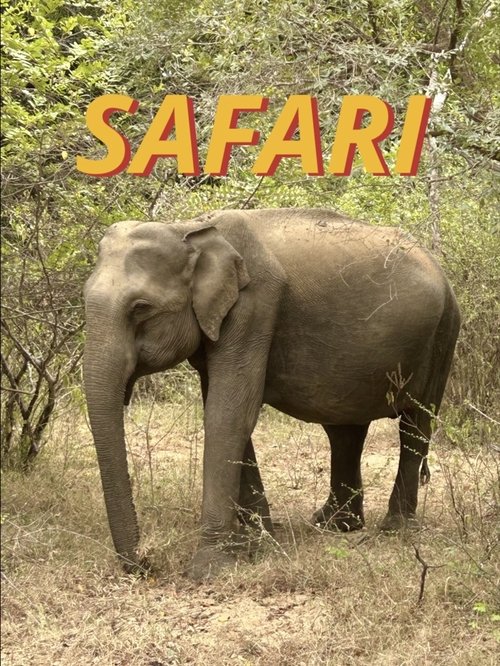 Safari poster