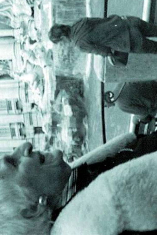 THE INTERPRETER OF BLACK AND WHITE FILMS poster