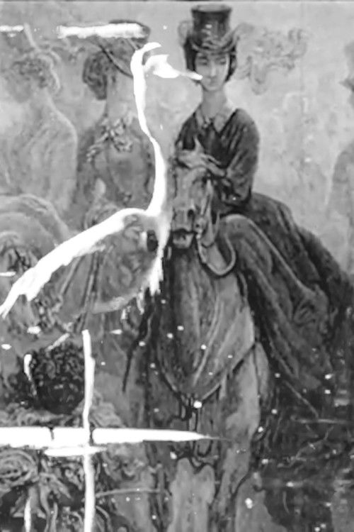 Some Thoughts On The Common Toad poster