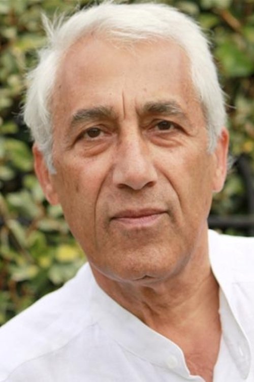 Dimitri Andreas as Niko Soldan Emeris