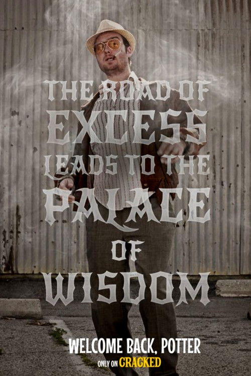 Welcome Back, Potter poster