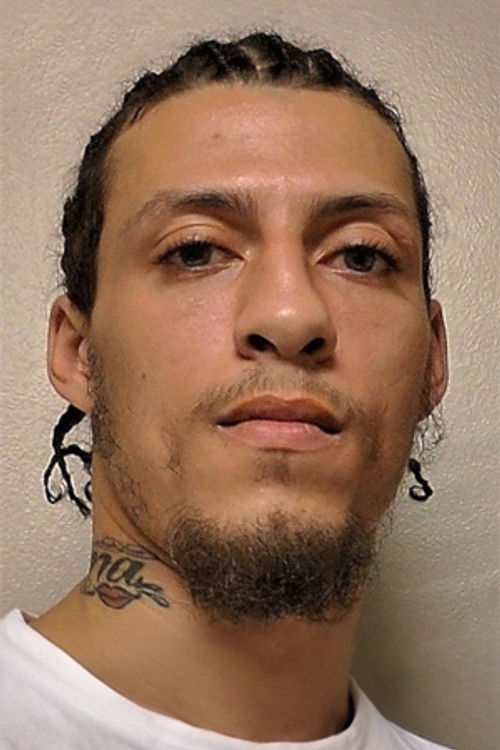 Christopher Brooker as Self