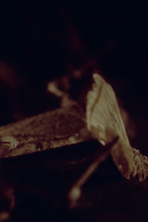 The Hemispheres poster