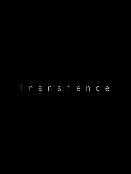 Transience poster