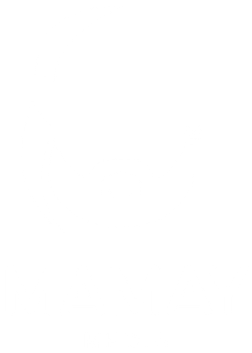 Mamay Media logo