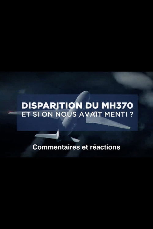 Disparition du MH370: Et si on nous avait menti? poster