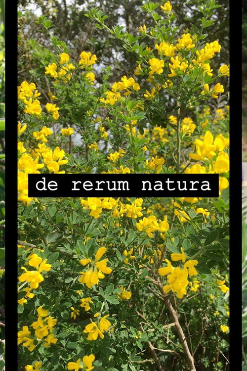 de rerum natura