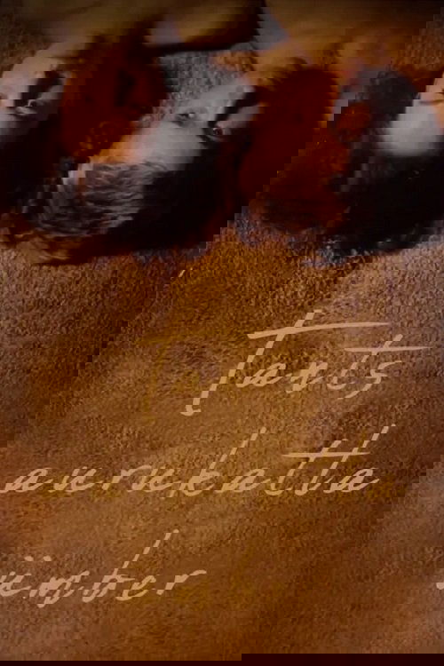 Dance Around the Steam Boiler