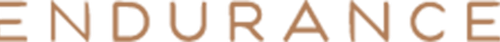 Endurance Media logo