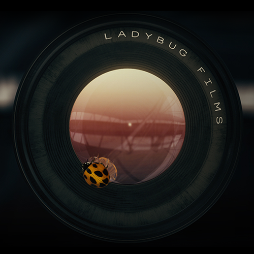 Ladybug Films logo
