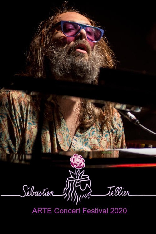 Sébastien Tellier @ ARTE Concert Festival 2020